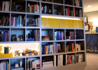 backlit bookcases